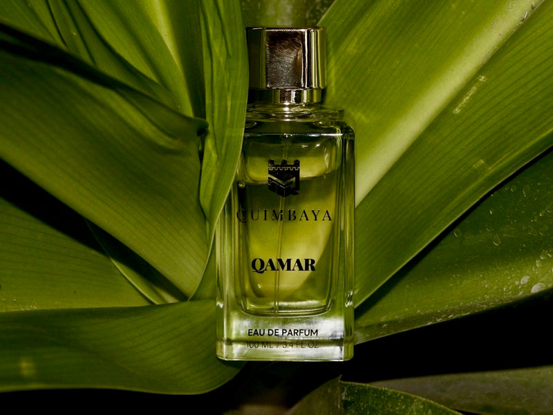 QAMAR EAU DE PARFUM by Quimbaya Fragrances, filled with pale yellow-green liquid and topped with a metallic silver cap, set against large green leaves.